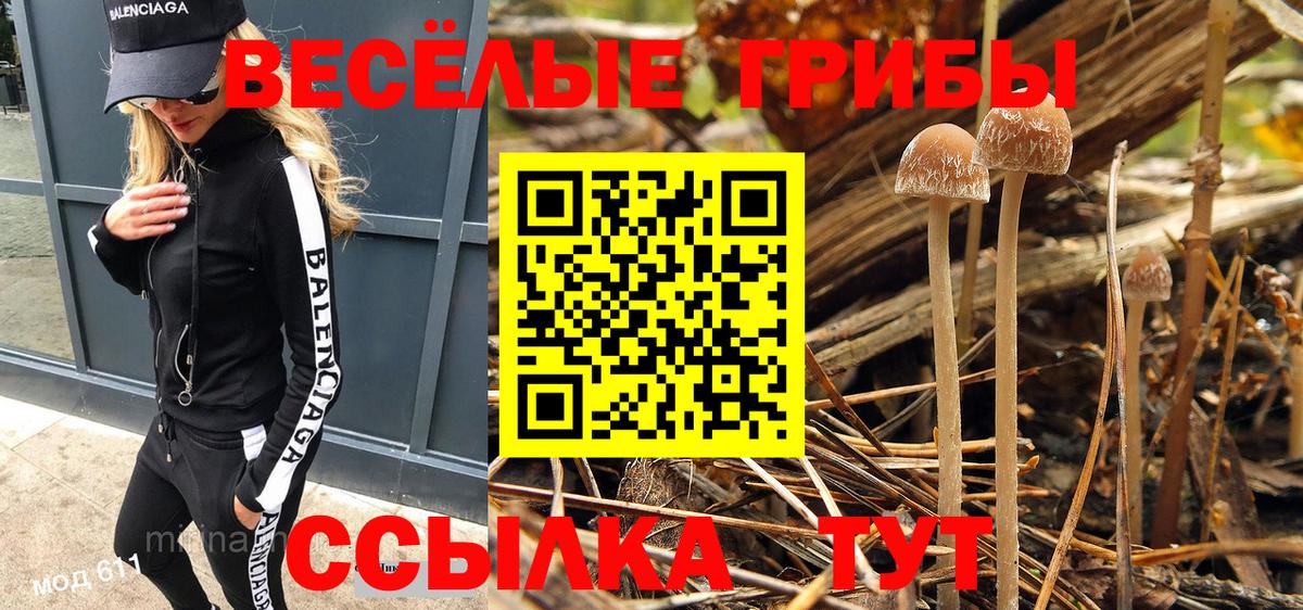 Нижневартовск  Псилоцибиновые грибы Psilocybe  цена наркотик  Вход с VPN 