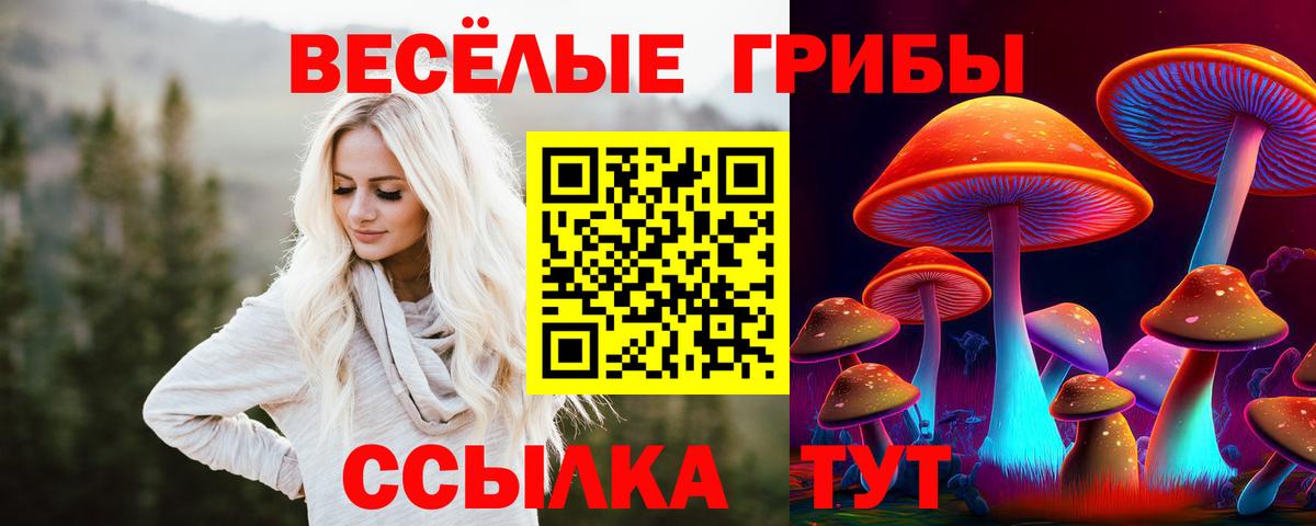Галлюциногенные грибы мицелий Нижневартовск
